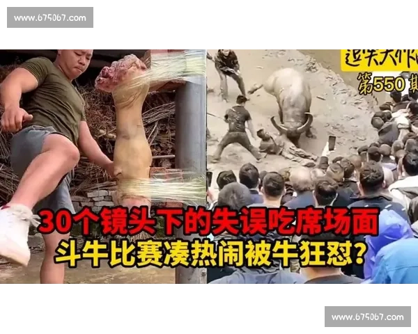 2016年黄牛打架比赛现场视频曝光激烈场面引发网友热议 2016年黄牛打架比赛现场视频曝光激烈场面引发网友热议