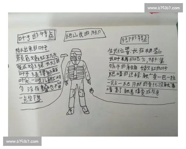 《一次难忘的冒险之旅四年级讲故事比赛中的奇妙经历》